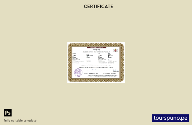 listo para imprimir certificado de matrimonio de Hungría Plantilla en Word y PDF